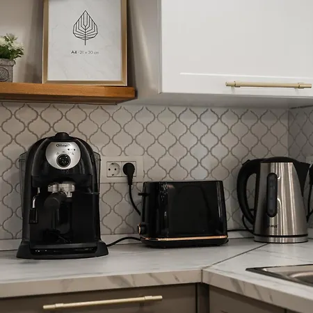 Apartment Rope Street Estate Picturesque Brașov