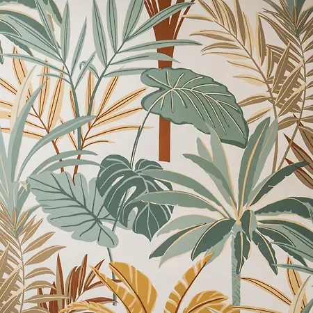 Apartment Rope Street Estate Picturesque Brașov