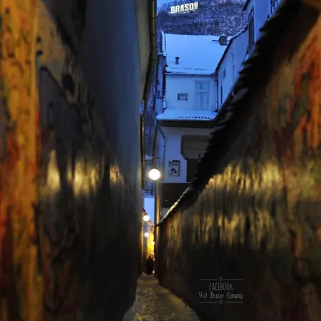 Rope Street Estate Picturesque * Brașov