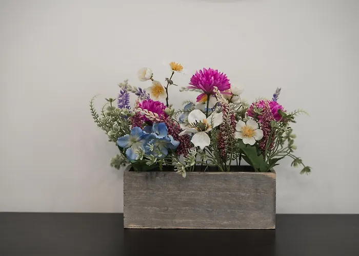 Rope Street Estate Picturesque Брашов